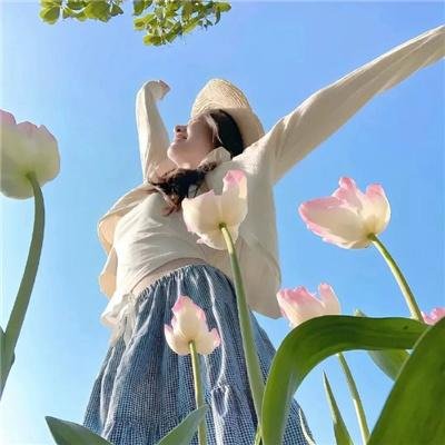 枪械师 在线观看
